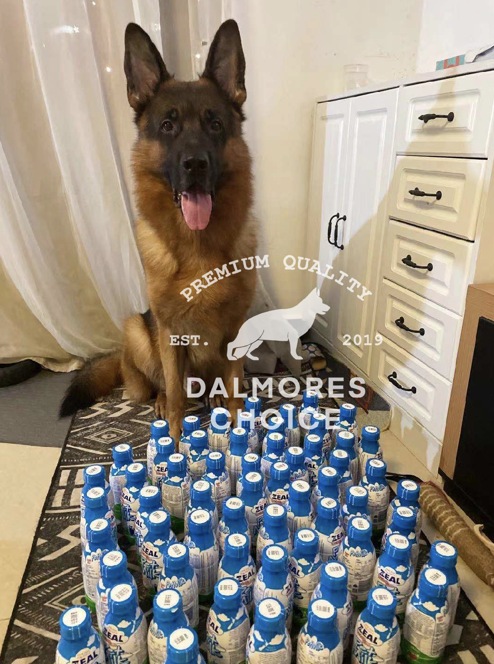 Dharma Department Store New Zealand ZEAL True Zero lactose Dog Milk Puppies Cat Pet Tonic Calcium Nutrient Generic