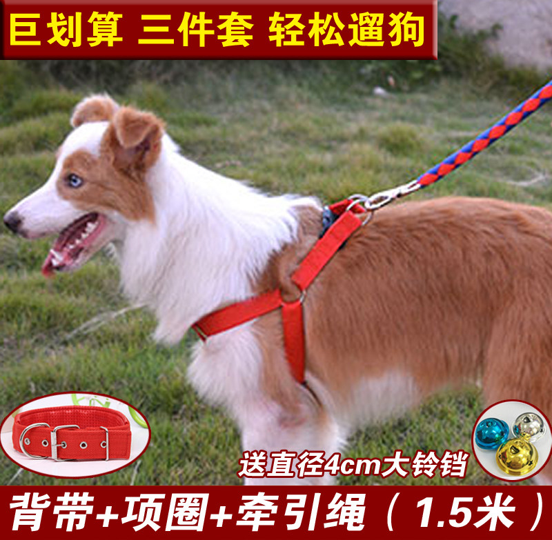 Dog Traction Rope Strap Strap Dog Strap Dog Strap Rope Large Medium and Medium Dog Needle Teddy Gold Mulla Bradorsamo