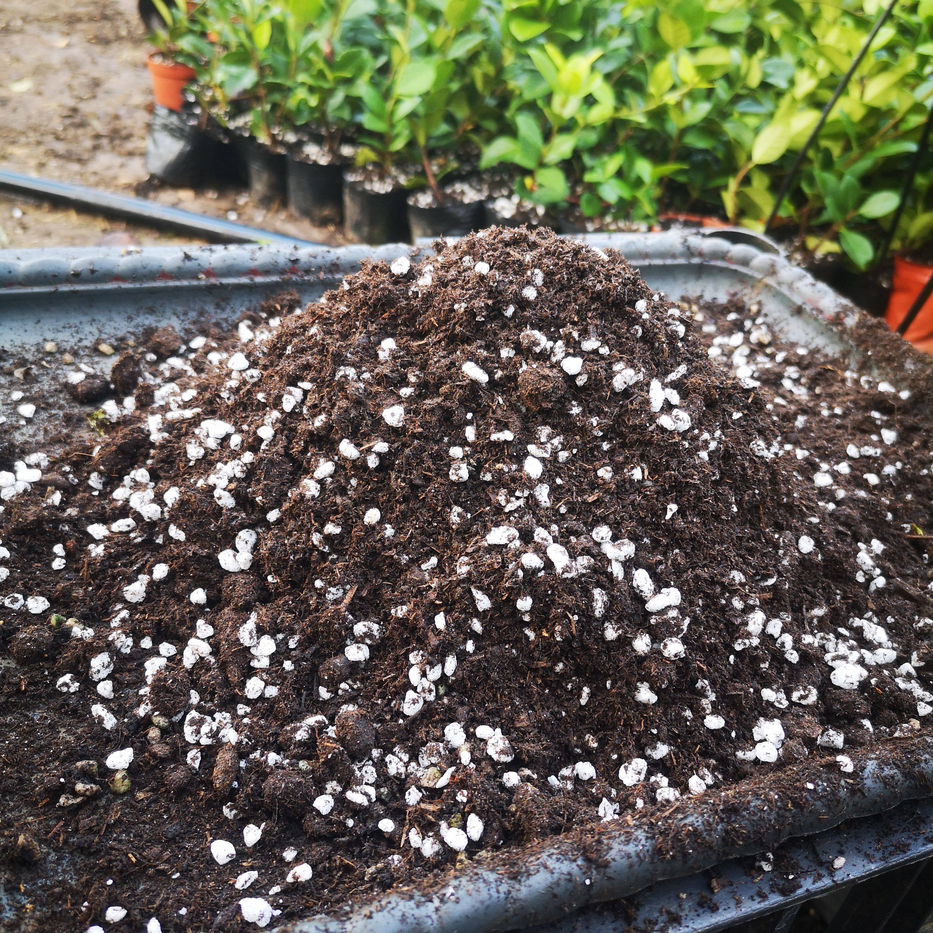 2021：大数据告诉你，这一年到底有多绝！