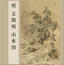 Zhi Yong calligraphy and painting Ming Wen Jing Ming Landscape Picture high-definition flower and bird painting replica 43 * 72cm