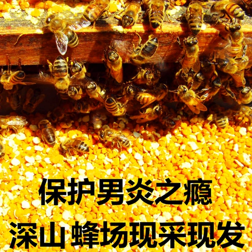 Свежая съедобная дикая желтая пыльца Cypress Follen Follen не нужно разбивать стену, выше, чем порошок из пыльцы сосны