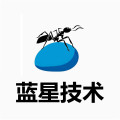 蓝星技术店