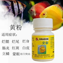 Dragon brand yellow powder fish medicine blindfolded enteritis rotten gills rotten tail rotten body eyeball protrusion 20g