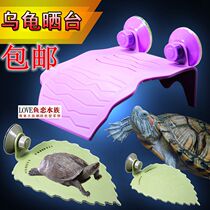Brazilian tortoise turtle tortoise Sunback table water turtle drying platform floating island floating platform climbing platform climbing turtle table