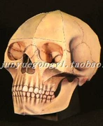 Mô hình giấy thủ công 3D Stereo DIY Kinh dị Halloween Ghost Halloween Human Skull Taro Giấy Mô tả