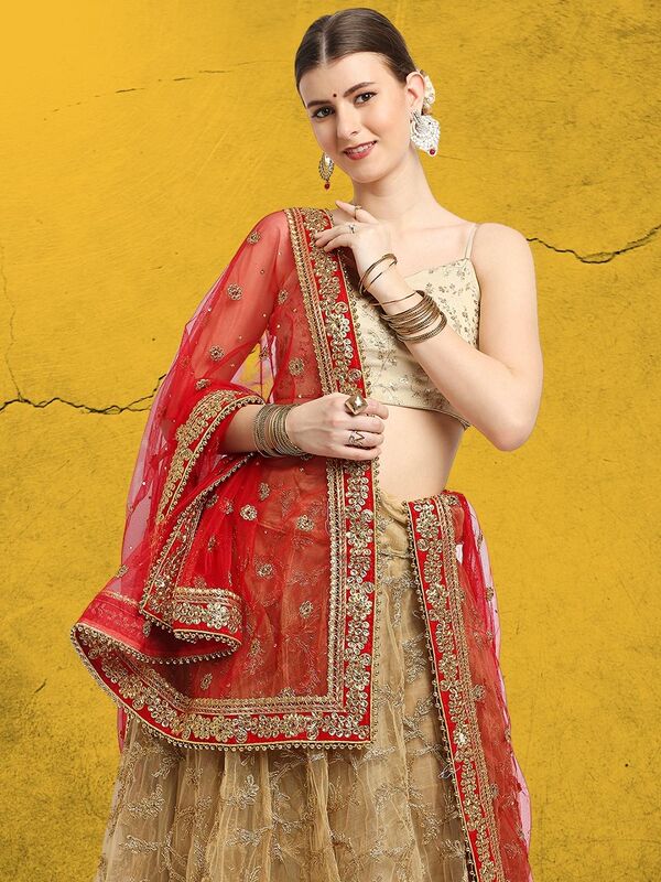 B1-2-1 Indian Premium Saree Net Shawl High-End Heavy Embroidery Beading Exotic Style Travel Photo Headscarf