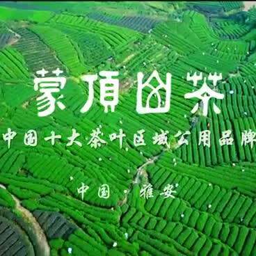 蒙顶山茶农直销