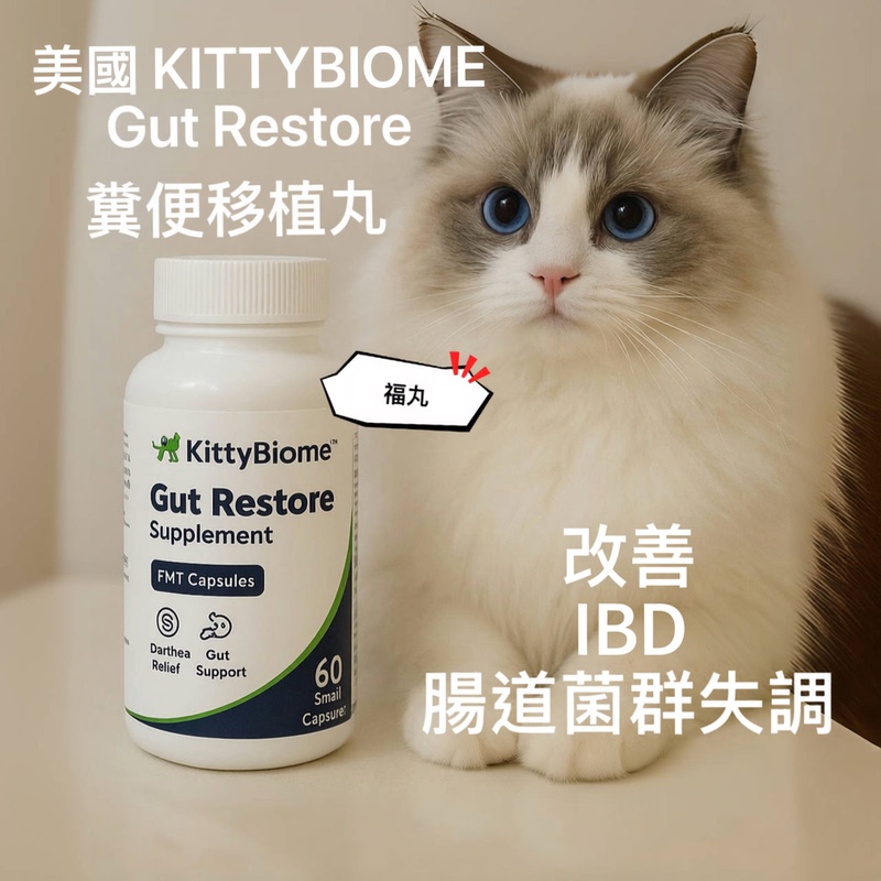 Fukumaru Department Store｜American Cat Kittybiome Fecal Transplantation Ibd Soft Stool Bacterial Flora Imbalance Stool Pills