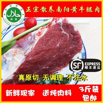 Yellow beef farmers free-range fresh beef raw beef beef beef beef brisket original cut halal 3 Jin Shunfeng