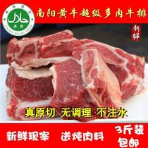 Steak ribs meaty beef calf fresh yellow beef ribs cowboy ribs 3kg halal
