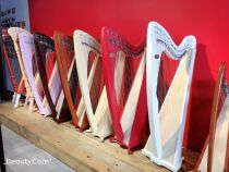 Harp popularize the harpsichort Irish harpsichort Celtic folk harp 38 string harp professional instruments full dress code