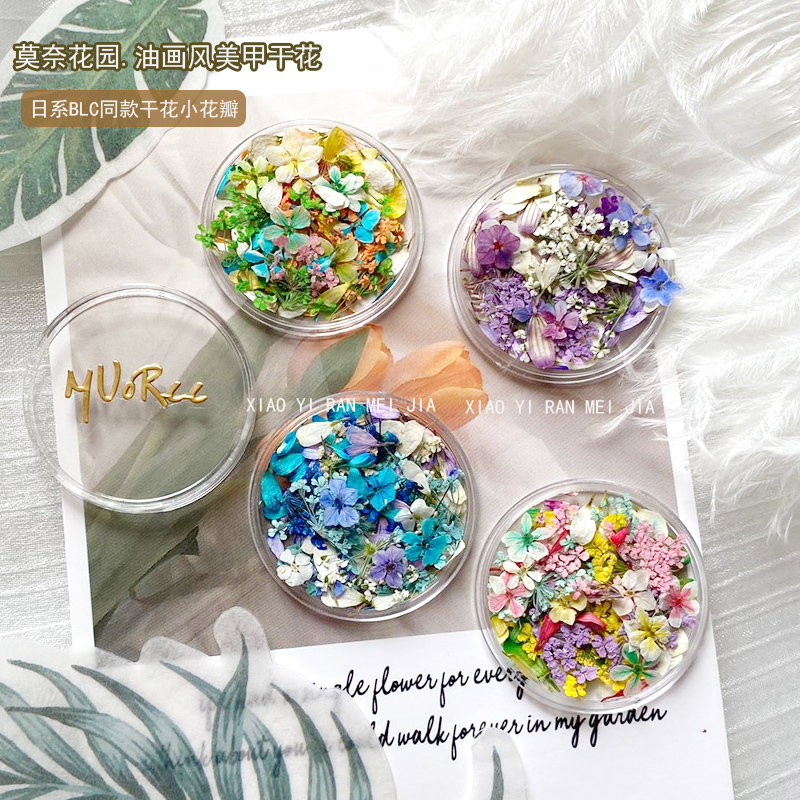 Japanese Style ins Floral Nail Art Dried Flowers Monet Garden Oil Painting Color Scheme Small Flowers Mixed DIY Materials Nail Decorations