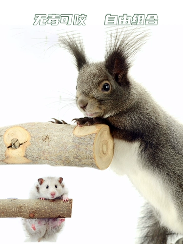 Apple Muzhi Banzai Столовый Стол Стук Мост подвеска мост медовые сумки с медовыми сумками Тоторо, есть, дом, игрушка, белки, игра в поставки