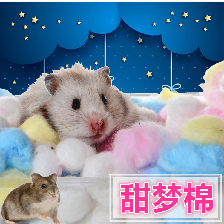 Hamster sweet dream cotton by hedgehog winter warm and cold proof supplies cotton Rabbit dragon cat supplies