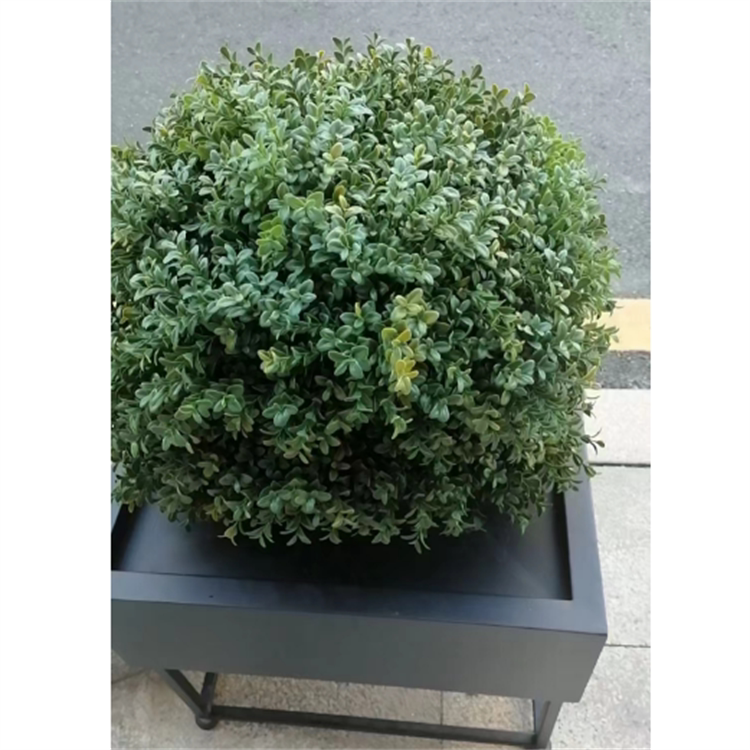 Artificial Plant Boxwood Plastic Bayberry Leaves Artificial Potted Ball Tree Outdoor Indoor Shrub Front Large Amazon Ornament