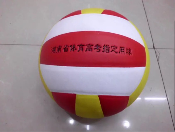 Ballon de volley - Ref 2010816 Image 5