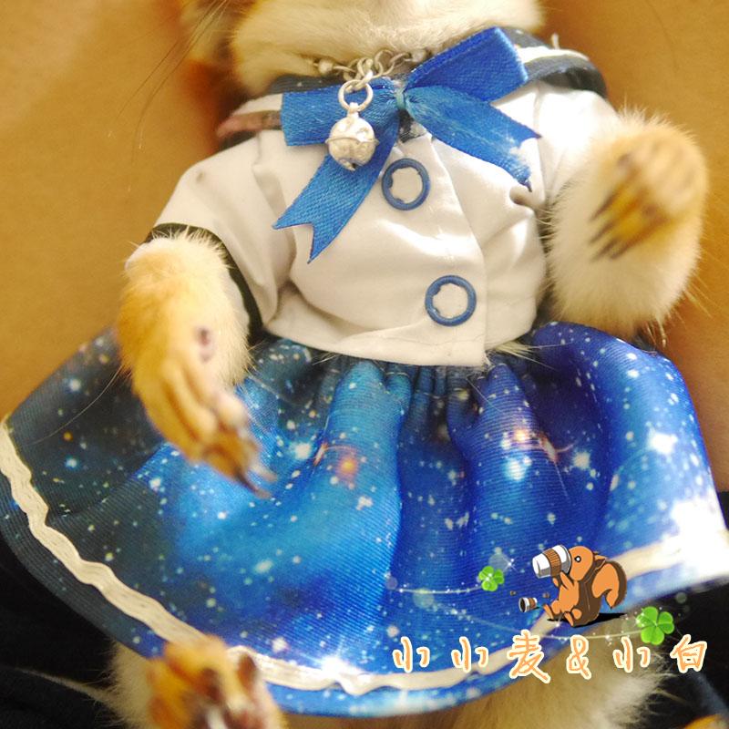 Small wheat squirrel clothesSnow Snow Huangshan Soft Sister Mariner Clothes College Fengline Small Navy Costume Can be customized