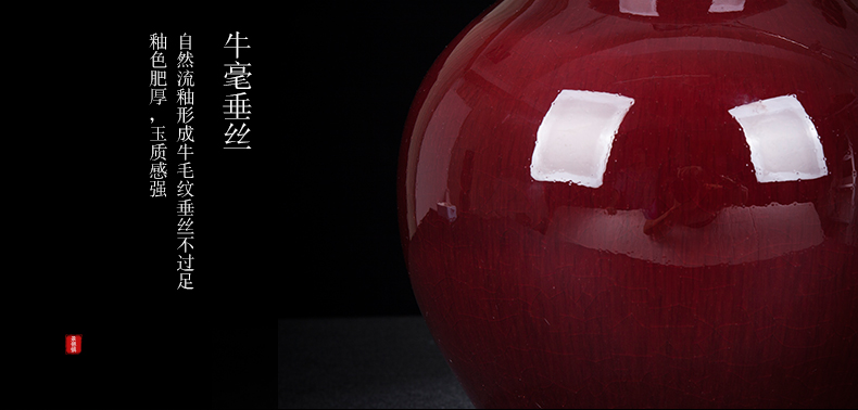 Jingdezhen ceramic new Chinese style ruby red bottle gourd bottle decoration place to live in the living room beside the TV ark, porcelain decoration