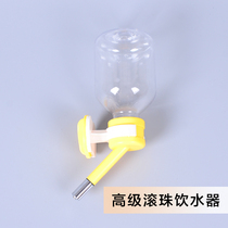 Parrot Drinking water Drinking water Drinking water Drinking water Drinking water Drinking water dispenser Automatic water dispenser