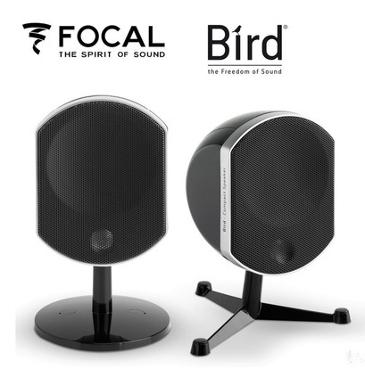 Jinlang FOCAL bird bird medium bird big bird speaker home theater HiFi sky panoramic sound