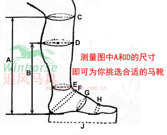 Article équitation - Ref 1381848 Image 3