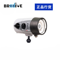 Ikelite DS161 flash nickel hydrogen battery color temperature 4800K built-in 500 limelight photographic lamp