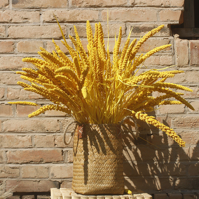 Farmhouse Homestay Beer House Cafe Decorative Dry Flower Millet Rice Natural Dry Flower Shopping Mall Cereals