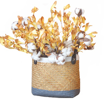 Cotton dried flower bouquet ins decorative real flower home furnishings hipster wheat ear rabbit tail grass cotton Eternal Flower