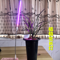 Household plant light lamp led growth lamp Indoor imitation sun line Flower fleshy orchid seedling promotion tooth flower