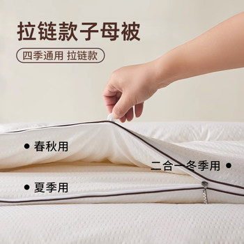 Two-In-One Zippered Quilt for Spring and Autumn, Cotton Quilt, Thickened Winter Quilt Core, Warm, Single-Person Mattress Specifically for Student Dormitories