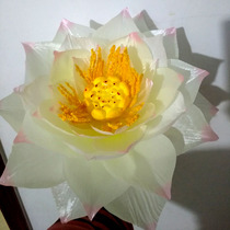 Hot Selling Dance Props Hand Held Flowers Simulation Flowers Lotus Flowers Fake Sleeping Lotus Lotus Fingers Flowers Decorate Hanfu Silk Flowers