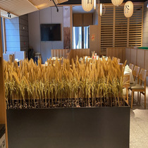 Emulated rice ears yellow large wheat ears dry flower wheat rice shooting props shop window hem fake wheat ears rice