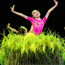 Fake Flowers Emulation Green Rice Wheat Ears Wheat Dry Flowers Silk Flowers Farmhouse Le Dance Stage Decoration Props Rice Valley