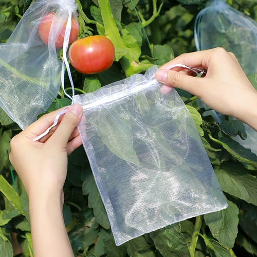 Чехол для томатов, защита от птиц, сумка для томатов, защита от насекомых, защита от птиц, фрукты, специальная сумка, защитная сетка для овощного сада, защитный чехол