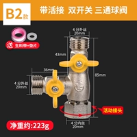 B2