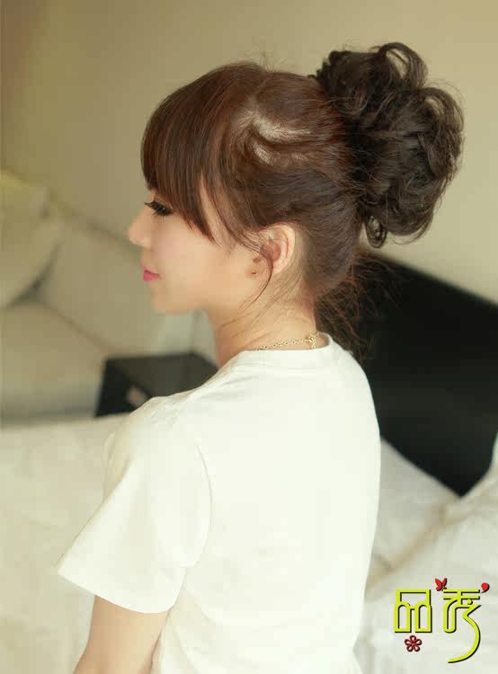 Extension cheveux - Chignon - Ref 247842 Image 18