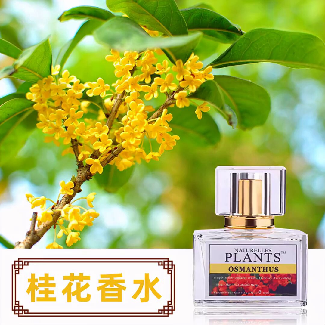 这个桂花香水，黄皮姐妹也能闭眼入！_香水_淘宝美妆网