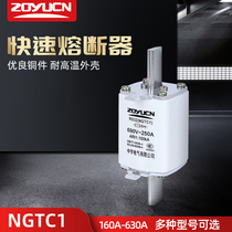 Zhongyu NGTC1 RS32 690V 250A fast fuse plug-in ceramic fuse fuse core