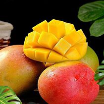 Yunnan apple mango fresh mango seasonal tropical fruit 9 pounds green skin sweet mango apple whole box Yunnan Australian mango