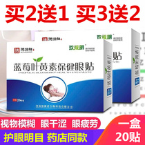 Blueberry Blueberry Eye Care Patent Children Middle and Old Teen to Relieve Eye Dry Eye Dry Near-sighted Simple