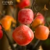 Mô phỏng cây ăn quả hồng phòng khách cây xanh trồng trong chậu Trung Quốc trang trí nhà trang trí cắm hoa khô hoa giả bó hoa - Trang trí nội thất