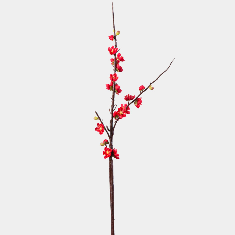 Squid Simulation flowers xiaomei fake plastic flowers wintersweet dried cuttlefish zen ceramic vases, flower arranging put decorations