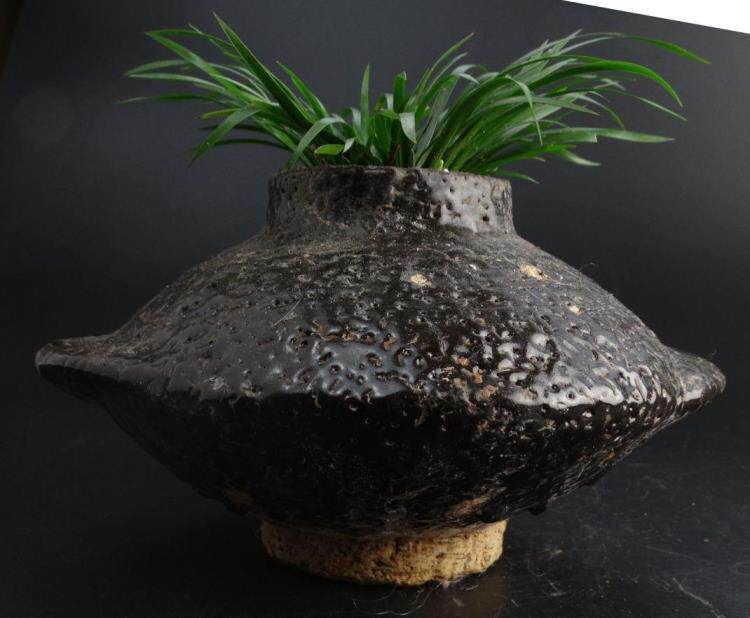 54#Flowers and plants Creative design High antique potted text play money Calamus Pu Grass Qian Pu