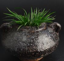 8 Wen room ornaments play with flowers and plants Creative design High ancient potted text play money Iris Pu Grass Qian Pu