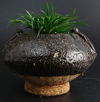 5#Flowers and plants creative design High antique potted text play money Calamus Pu Grass Qian Pu