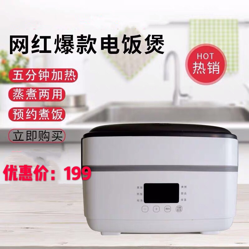 Living element multifunction electric lunch box to work portable insulated automatic heating can be plugged in mini-rice dish