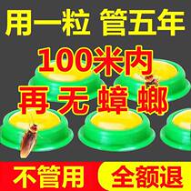 Cockroach drug kills a full nest end Home Non-toxic Size Thong Kill Kitchen Bedroom Insect Killer