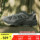 Официальные аутентичные осенние мужские и женские кроссовки New Balance NB в стиле ретро горного серого цвета для папы CM878MB1 mini 1