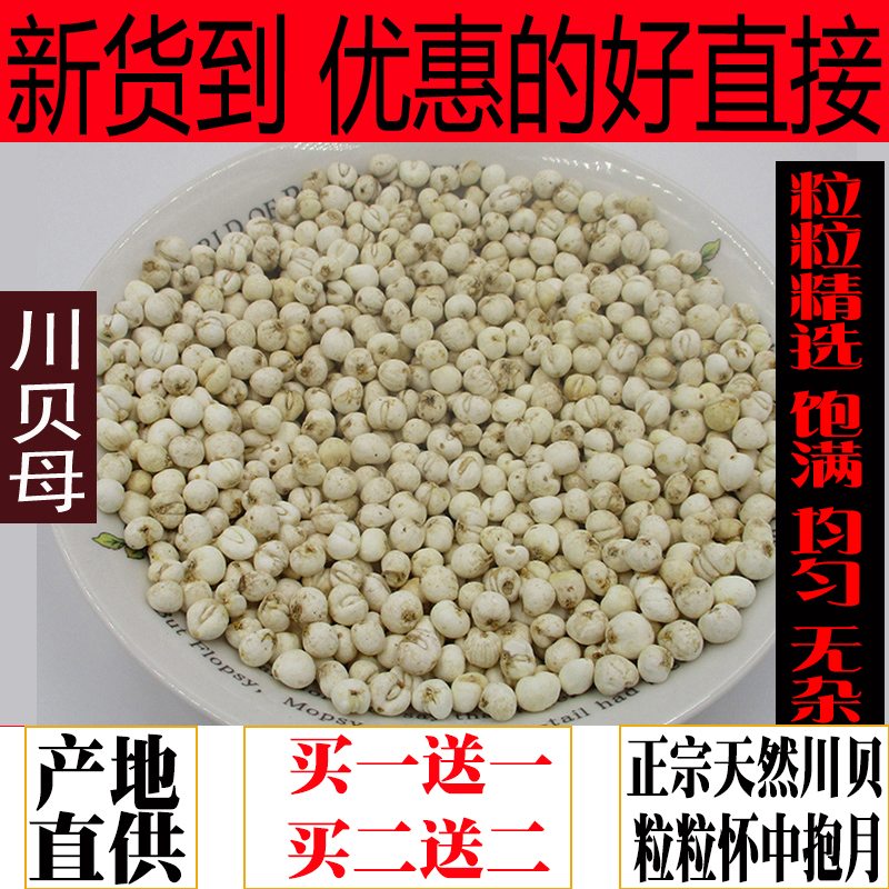 Chuan Fritillaria 50g package non-post wild premium Sichuan Fritillaria cough to stop Chinese medicinal materials small Fritillaria non-Tongrentang