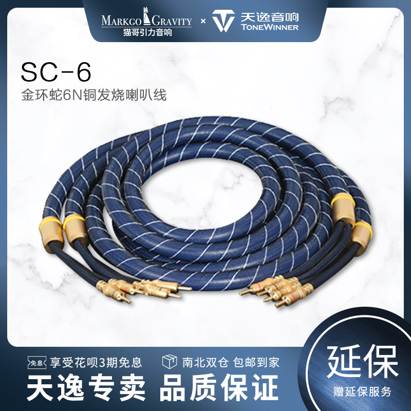 Winner Tianyi SC-6 Golden Ring snake fever horn line hifi audio power amplifier Lotus line sound box line